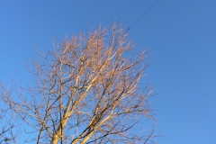 From below