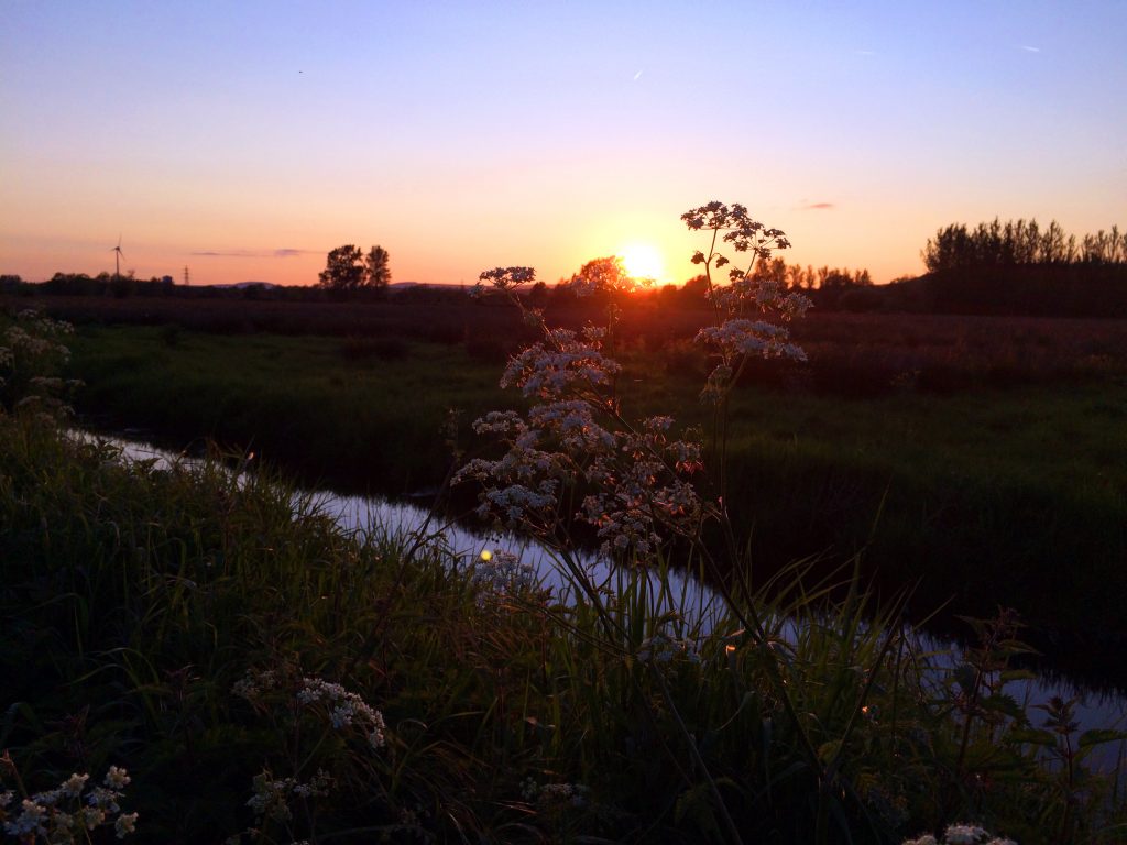 Magor Wet Lands Sun Set